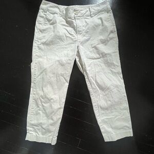 Loft Women's Monroe Straight Leg Chinos Size 12p